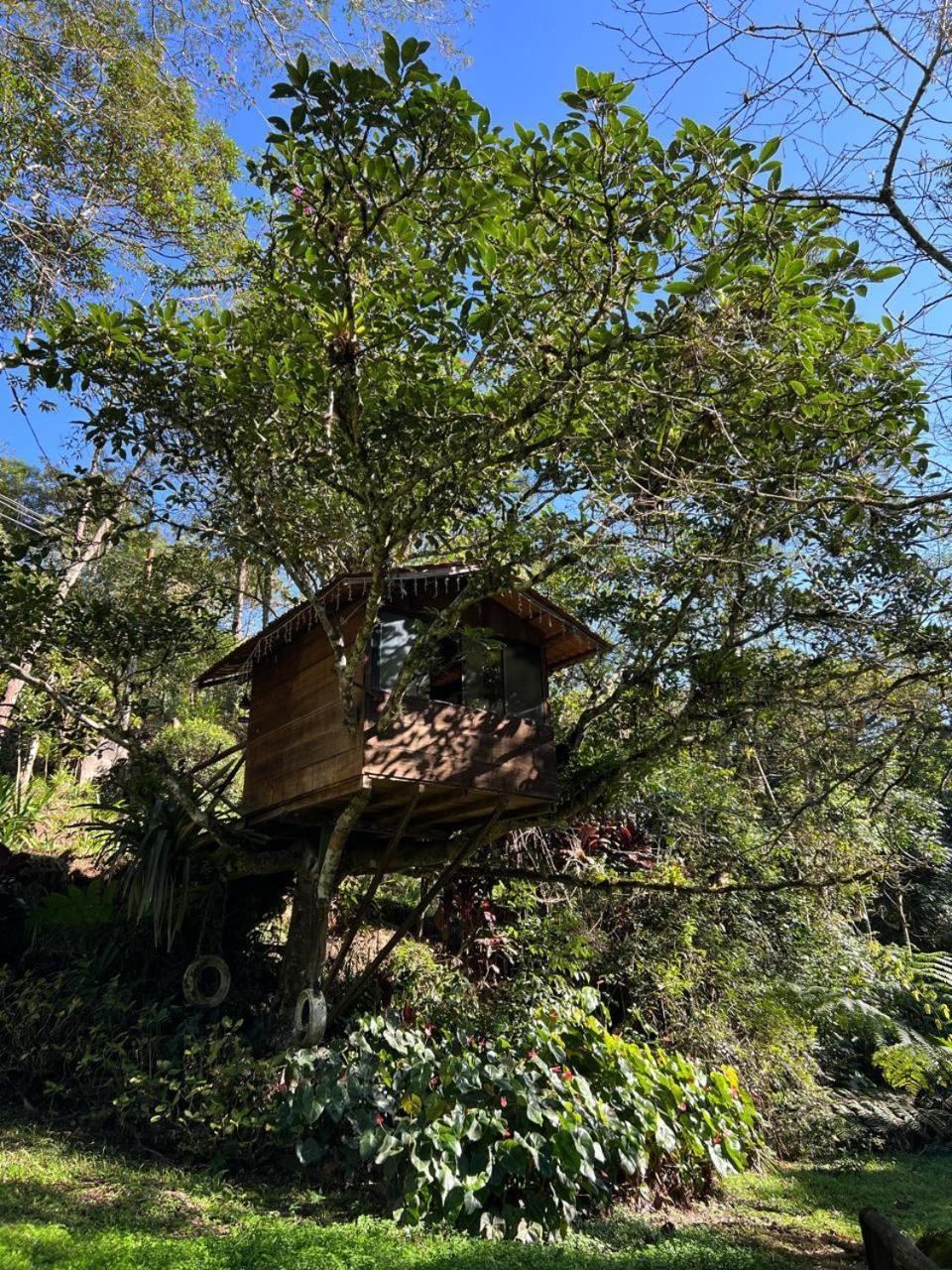 Pousada Sitio E Poesia Teresopolis Bagian luar foto