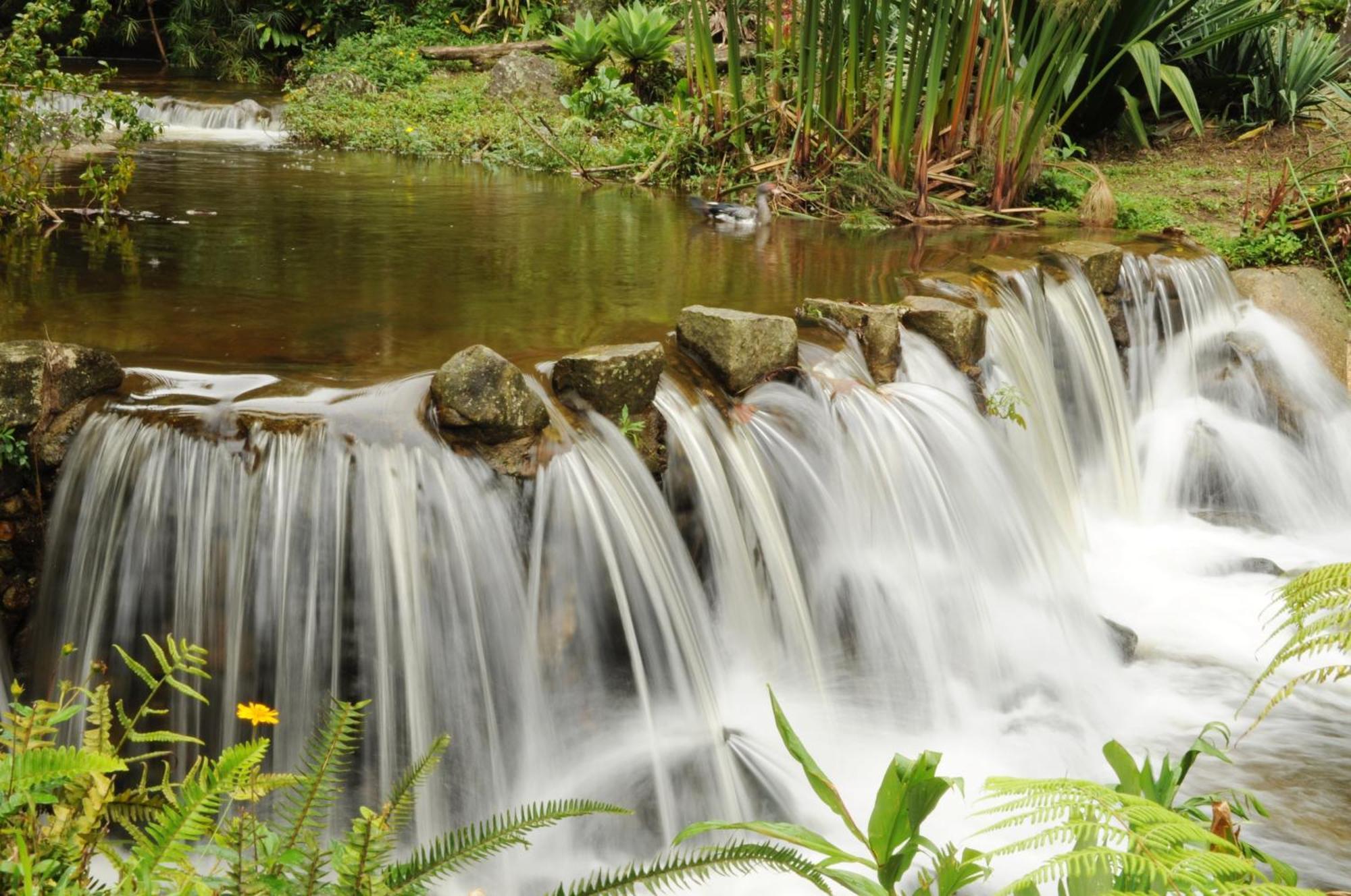 Pousada Sitio E Poesia Teresopolis Bagian luar foto